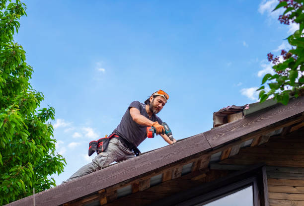 Best Green or Eco-Friendly Roofing Solutions  in Jasper, IN